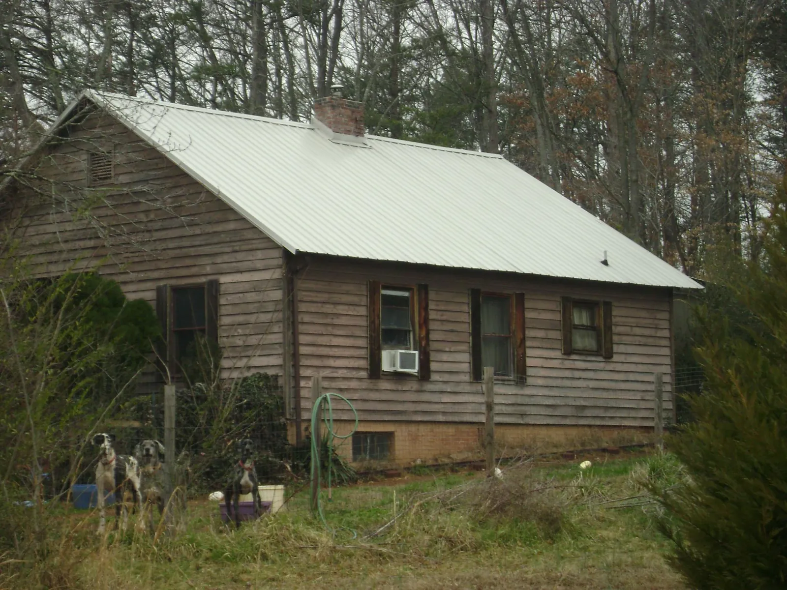 White metal roof on an old wood sided farmhouse, from a Asphalt Shingle Roof Repair job in Maxwell